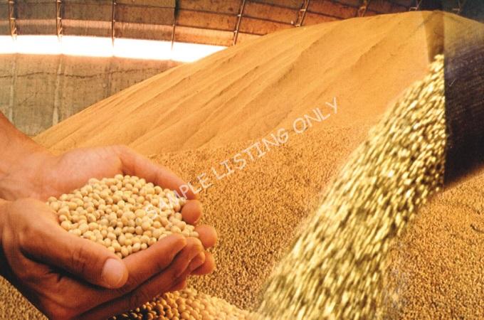 Fresh Dry Malawi Soya Beans