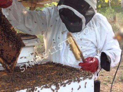 Sweet Malawi Honey